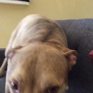 Meet your Posher, Jimmy